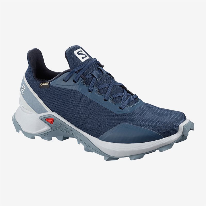 Zapatillas Trekking Salomon ALPHACROSS GTX W Mujer Azules (ES-YKRT)